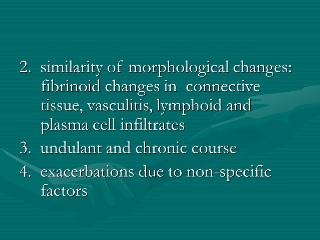 2. similarity of morphological changes: fibrinoid changes in connective tissue, vasculitis, lymphoid and plasma